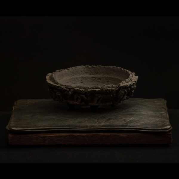 Rhizome_09.25#01 Rhizome 09.25 #01