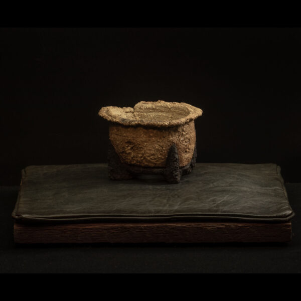 Rhizome_09.25#06 Rhizome 09.25 #06