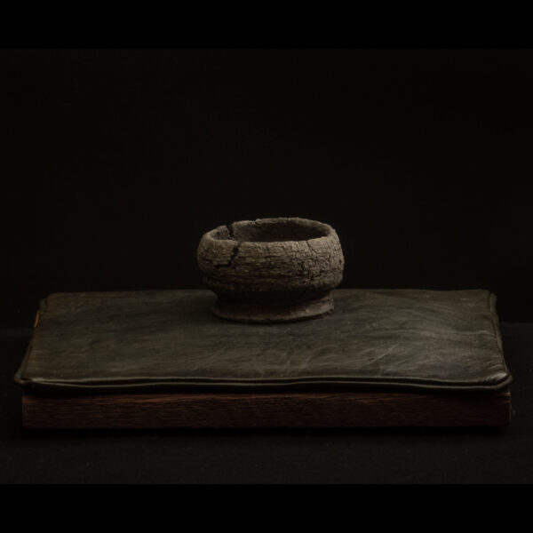 Rhizome_09.25#07_4 Rhizome 09.25 #07