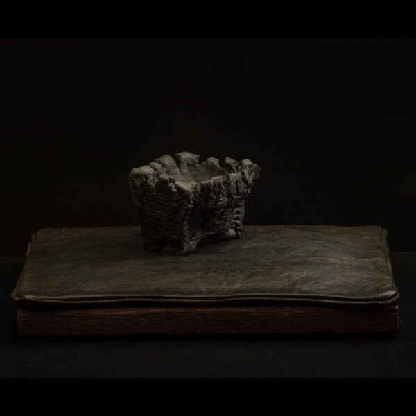 Rhizome_10.25#01 Rhizome 10.25 #01