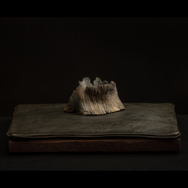 Rhizome_10.25#04_5 Rhizome 10.25 #04