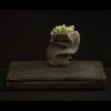 Rhizome 11.25 #02