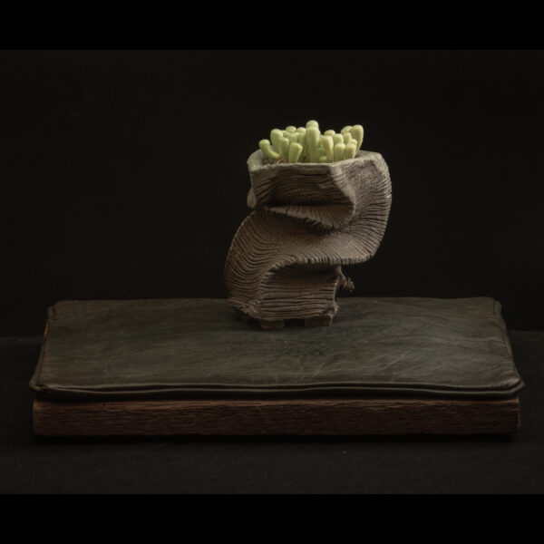 Rhizome 11.25 #02