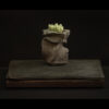 Rhizome 11.25 #02