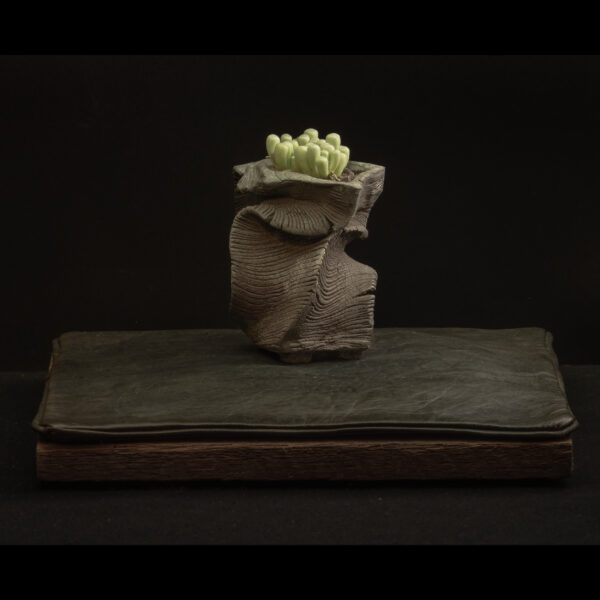 Rhizome 11.25 #02