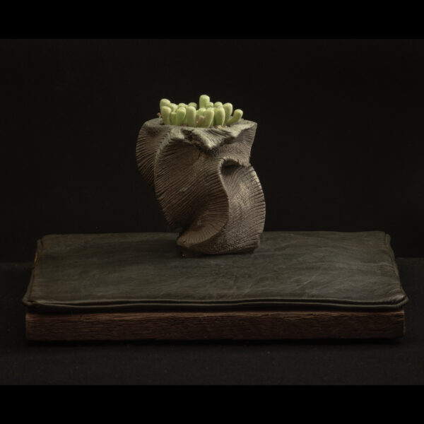Rhizome_11.25#02_004 Rhizome 11.25 #02