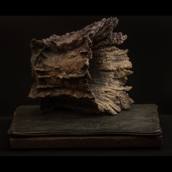 Rhizome_11.25#08 Rhizome 11.25 #08