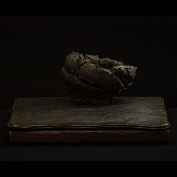 Rhizome_11.25#10 Rhizome 11.25 #10