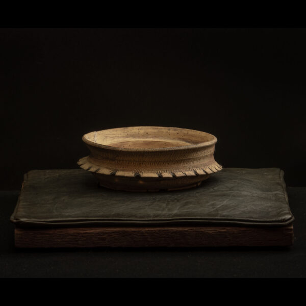 Rhizome_11.25#12_5 Rhizome 11.25 #12