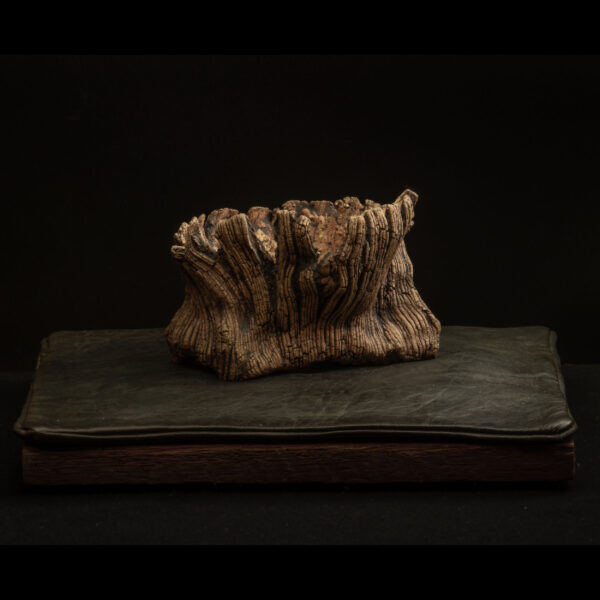 Rhizome_12.25#01_7 Rhizome 12.25 #01