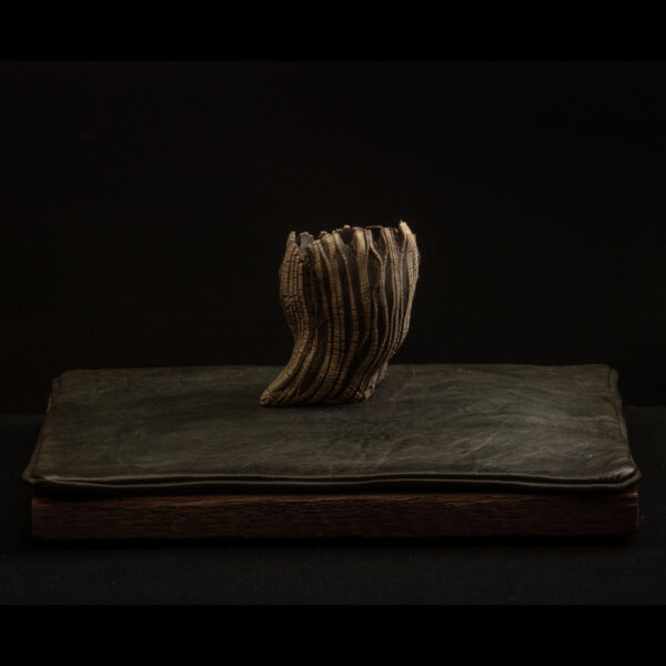 Rhizome_12.25#09 Rhizome 12.25 #09