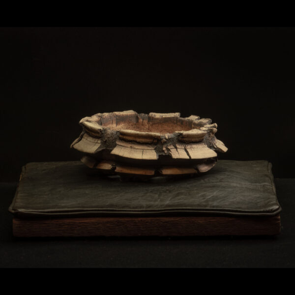 Rhizome_12.25#14_7 Rhizome 12.25 #14