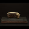 Rhizome_04.26#01