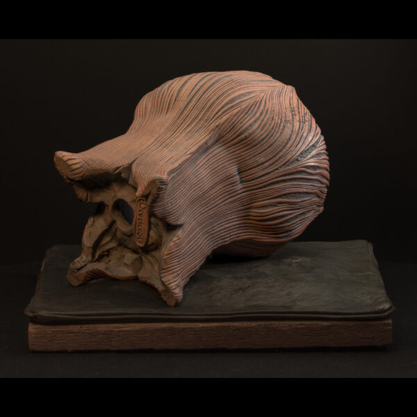 Rhizome_04.26#02