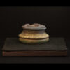 Rhizome_04.26#03
