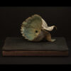 Rhizome_04.26#09