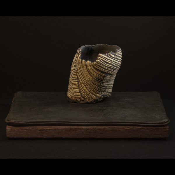 Rhizome_04.26#10_003 Rhizome_04.26#10