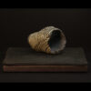 Rhizome_04.26#10