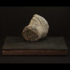 Rhizome_04.26#10