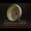 Rhizome_04.26#12