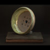 Rhizome_04.26#12