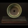 Rhizome_04.26#13