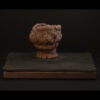 Rhizome_04.26#14