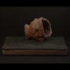 Rhizome_04.26#14