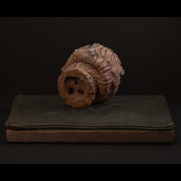 Rhizome_04.26#14
