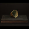 Rhizome_04.26#15