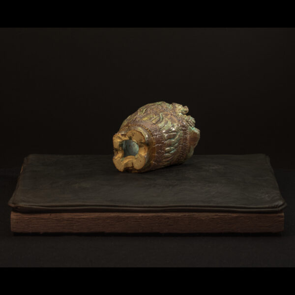Rhizome_04.26#15