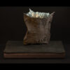 Rhizome_04.26#21