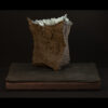 Rhizome_04.26#21