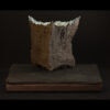 Rhizome_04.26#21