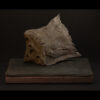 Rhizome_04.26#21