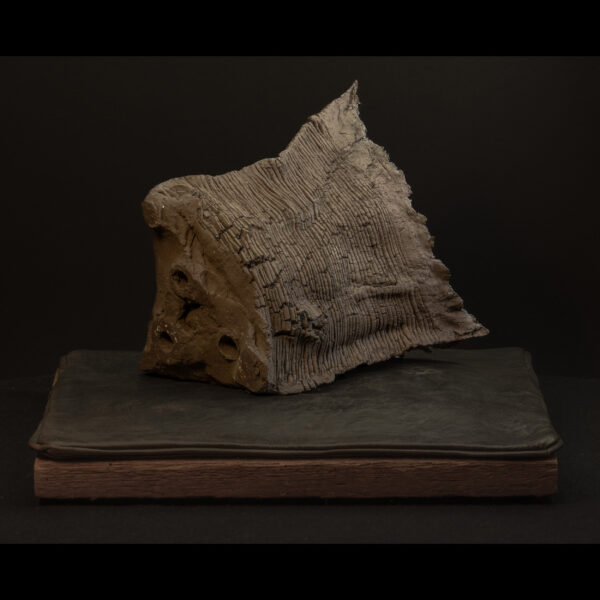 Rhizome_04.26#21