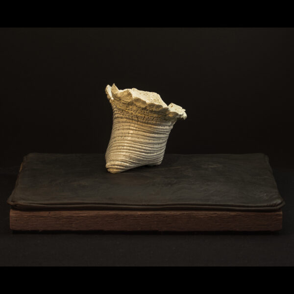 Rhizome_04.26#22