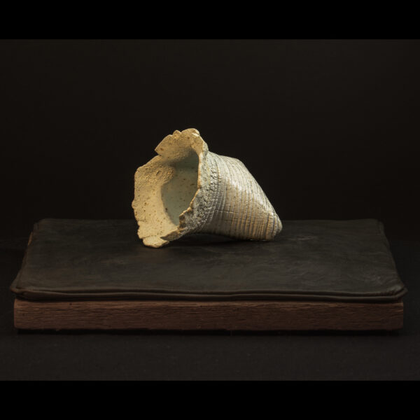 Rhizome_04.26#22