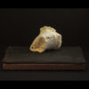 Rhizome_04.26#22