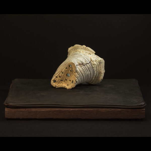 Rhizome_04.26#22