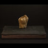 Rhizome_04.26#24