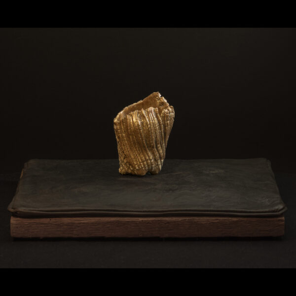 Rhizome_04.26#24_001 Rhizome_04.26#24