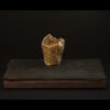 Rhizome_04.26#24