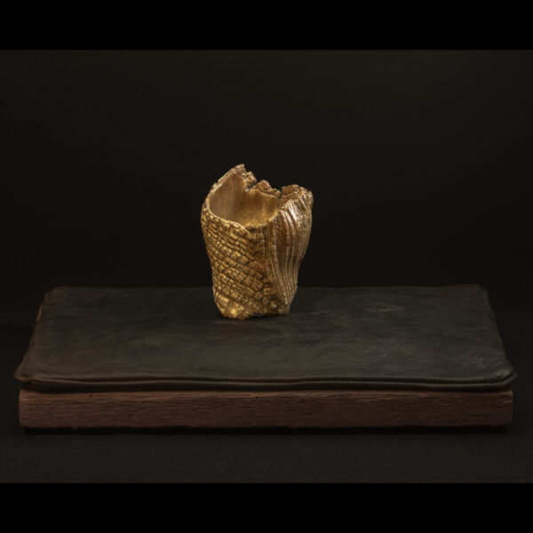 Rhizome_04.26#24