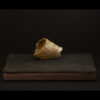 Rhizome_04.26#24