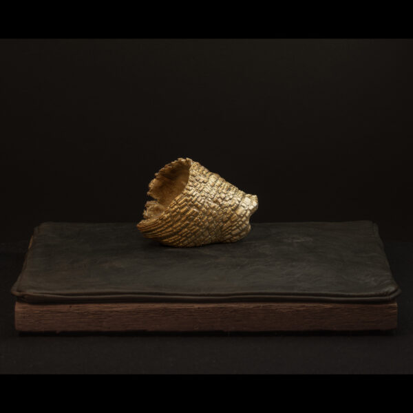 Rhizome_04.26#24