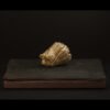 Rhizome_04.26#24