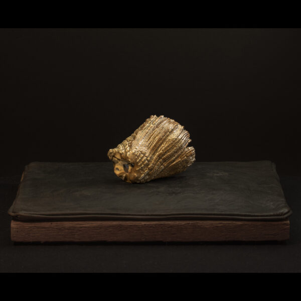 Rhizome_04.26#24