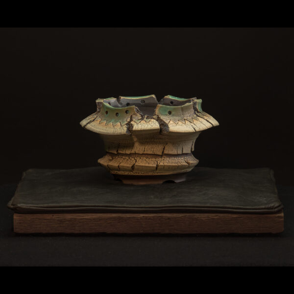 Rhizome_05.26#02