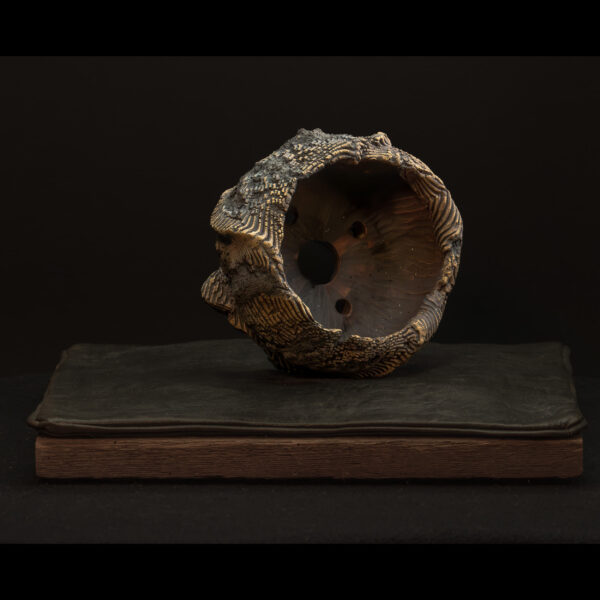 Rhizome_05.26#04